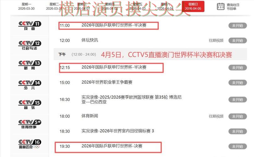 世界杯直播来临，世界杯投注网站大全玩法指南+直播与平台选择全面分析